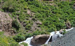 اصلاح و احیاء ۳۰ هکتار از مراتع ایجرود در ۹ ماهه سال جاری