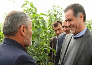 بهره برداری از گلخانه کشت صیفی جات در لردگان