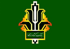 پرداخت ۸۱۹ میلیارد تومان تسهیلات کشاورزی در لرستان