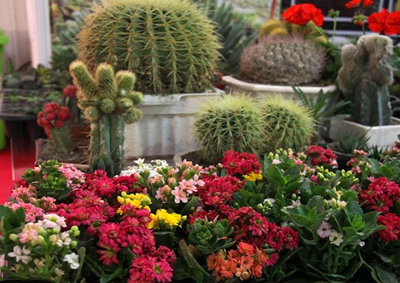 گشایش نمایشگاه سوغات، صنایع‌دستی و گل و گیاه در رشت