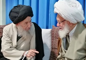 دیدار آیت الله رحمتی سیرجانی با آیت‌الله علوی گرگانی