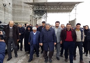 سیلوی ذخیره سازی غلات در آبیک افتتاح شد