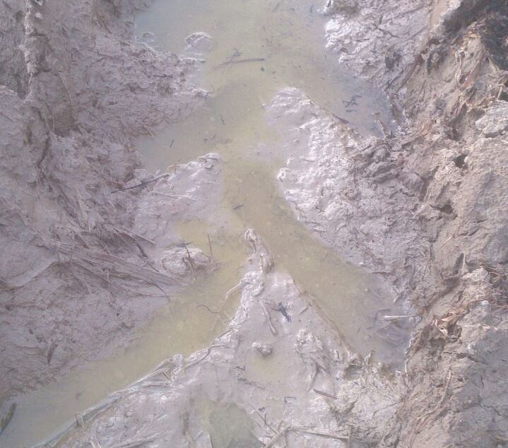 ورود گازوییل یک مرغداری به شالیزار‌های روستای گیگاسر