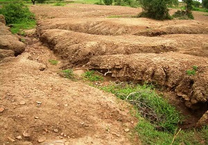 خوزستان بر سکوی اول کشوری به لحاظ فرسایش خیزی خاک