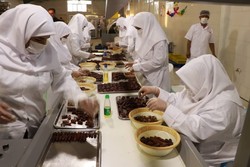 افتتاح چند طرح با حضور مدیرعامل صندوق کارآفرینی امید در سراوان