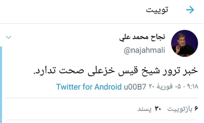 نجاح محمد علی ترور شیخ قیس خزعلی را رد کرد