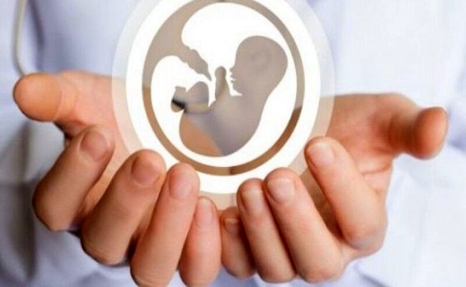 روش&zwnj; فریز جنین