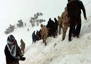 ۲۱ کشته بر اثر سقوط دو بهمن پیاپی در ترکیه