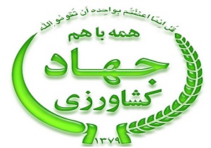 تجلیل از ۳۴ نمونه ملی و استانی در بخش کشاورزی