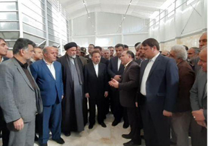 افتتاح سورتینگ برنج پایانه بین المللی صادراتی برنج ایران