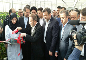 ۸۵ طرح کشاورزی مازندران افتتاح شد
