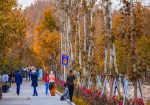 کاشت گل و درخت در محور میانی چهارباغ برای نوروز ۹۹