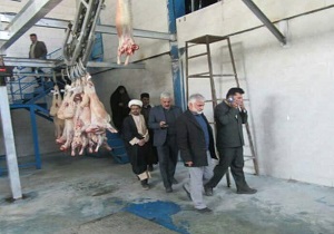کشتارگاه صنعتی دام در روستای بارده افتتاح شد