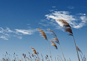 وزش باد با سرعت ۶۵ کیلومتر در شهرکرد