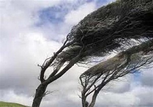 تندبادی با سرعت ۱۳۳ کیلومتر مشگین‌شهر را درنوردید
