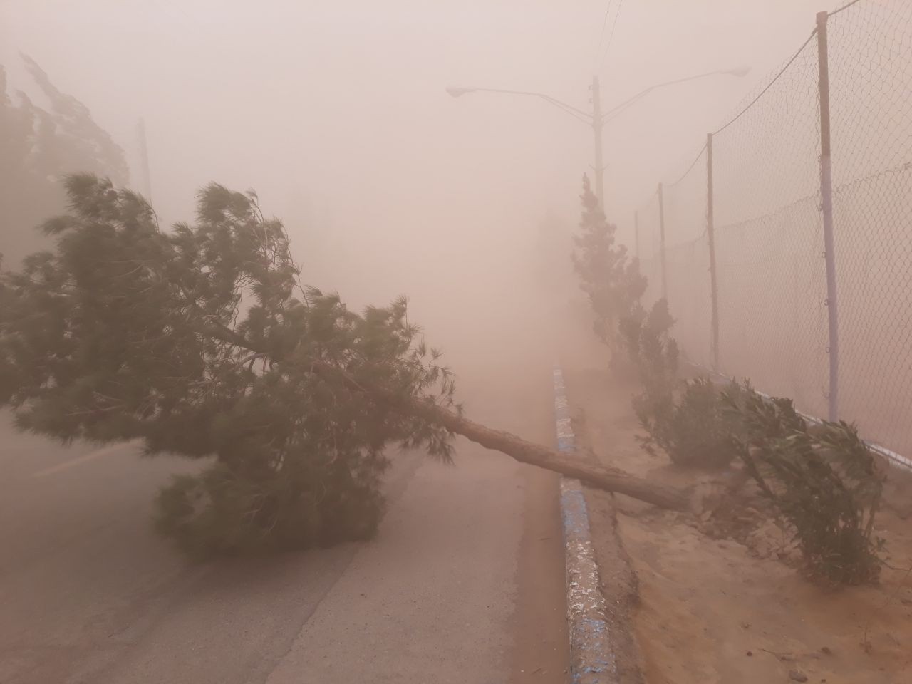 آماده باش استان کرمان در برابر طوفان