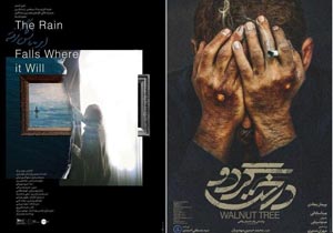 رویش درخت گردو در سینما سپهر