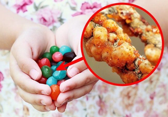 مواد غذایی خیلی معمولی، اما با ترکیبات عجیب و غریب؛ از موی انسان تا شپشک&zwnj;های ماده!