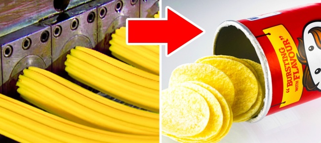 مواد غذایی خیلی معمولی، اما با ترکیبات عجیب و غریب؛ از موی انسان تا شپشک&zwnj;های ماده!