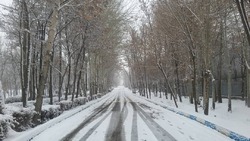 زنجان برفی است