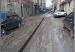 ممممممممممممممممممممممم