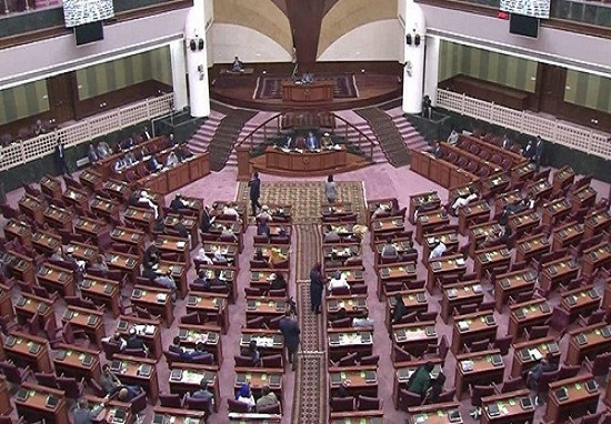 مجلس افغانستان طرح بودجه سال ۱۳۹۹ را تصویب کرد