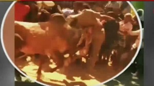 لحظه حمله وحشتناک گاو خشمگین به پلیس!