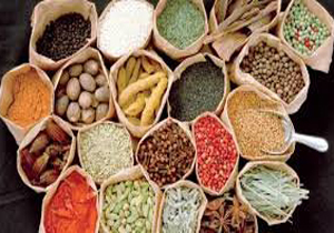 صادرات ۱۳ میلیون دلاری گیاهان دارویی در فارس