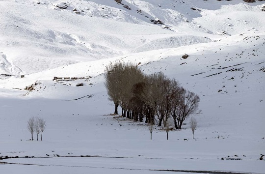 خودنمایی جاذبه&zwnj;های زمستانه در بام ایران