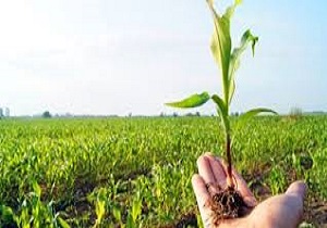 تشکیل نخستین کانون خبرگان کشاورزی لرستان