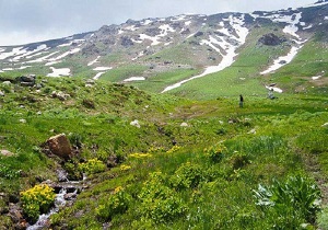 ثبت منطقه چلچمه و سارال به عنوان منطقه حفاظت شده در کردستان