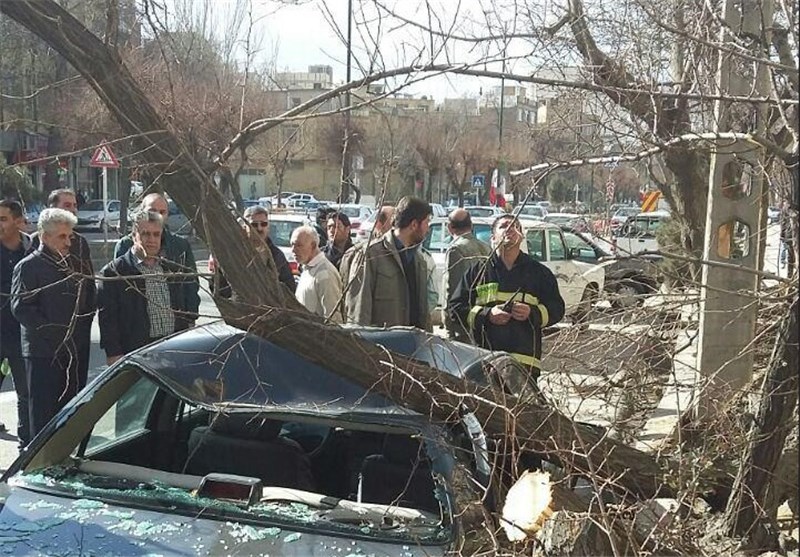 سرعت با در استان همدان به ۱۱۰ کیلو متر بر ساعت رسید