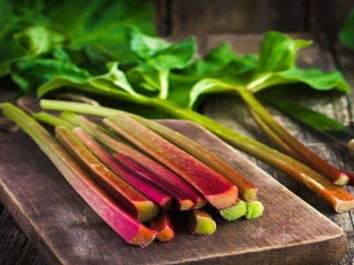 معجزه ریواس برای لاغری
