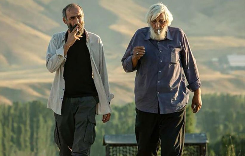 نقدی کوتاه بر فیلم عاشقانه فجر ۳۸/ هادی حجازی‌فر؛ موفق در به تصویرکشیدن خویِ خوی