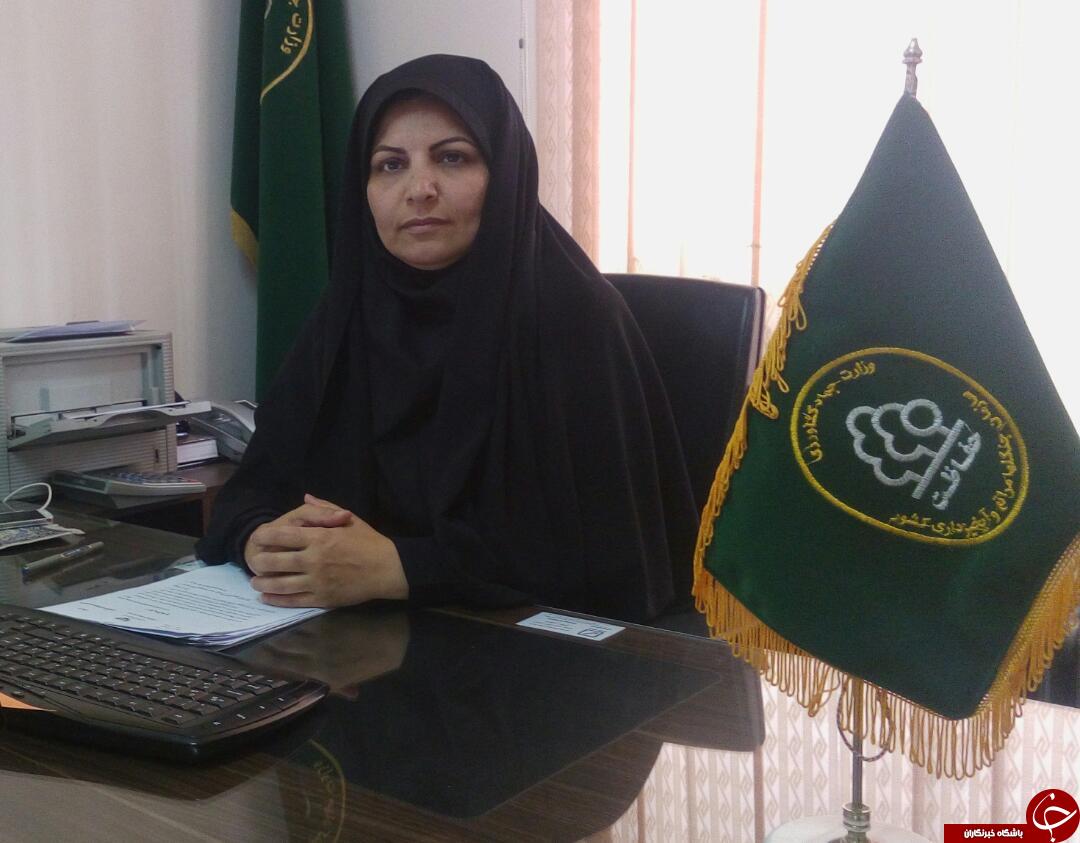 حفاظت از منابع طبیعی با احیای معدن ده پناهِ رفسنجان