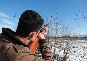 ممنوعیت شکار پرندگان وحشی در مهاباد