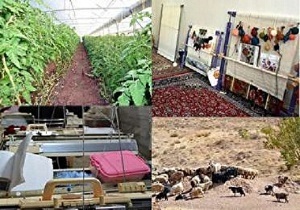 پرداخت ۱۷۰۰ فقره تسهیلات اشتغال‌زایی در استان سمنان