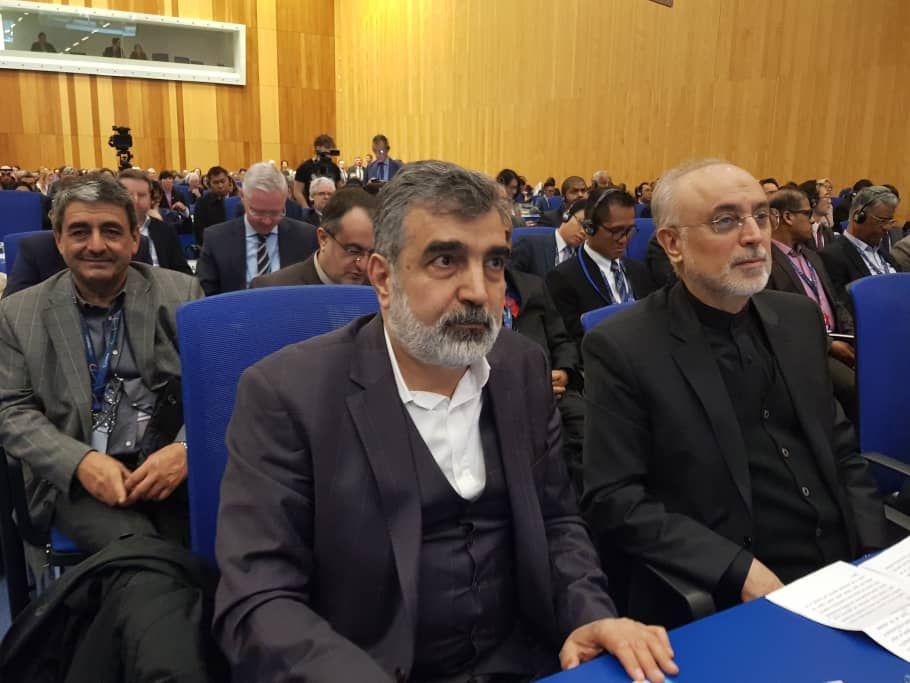 حفظ برجام در نهایت امنیت هسته&zwnj;ای را تامین می کند