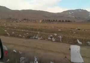 مشکلات وجود مرکز جمع‌آوری زباله در بجنورد + فیلم