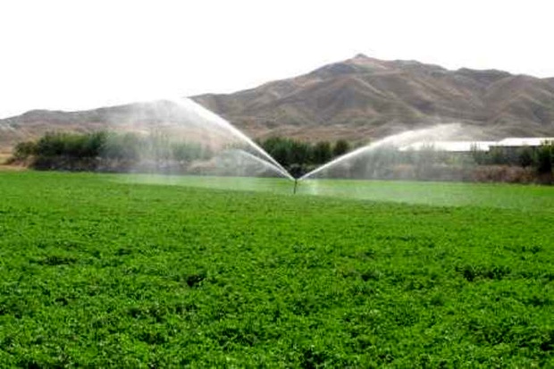 افتتاح طرح آبیاری کم فشار باغات تفت