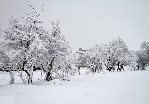 دمای هوای اردبیل به ۲۰ درجه زیر صفر می‌رسد