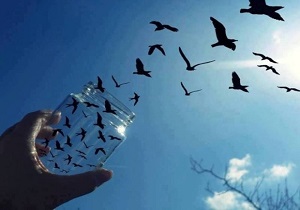 ‌آزادی ۱۱ زندانی یزدی با اجرای طرح فجر نور