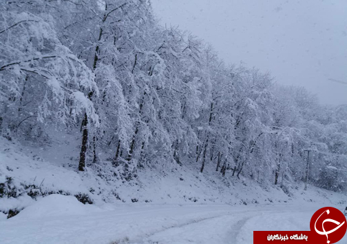 بارش حدود یک متری برف در مناطق کوهستانی رامسر