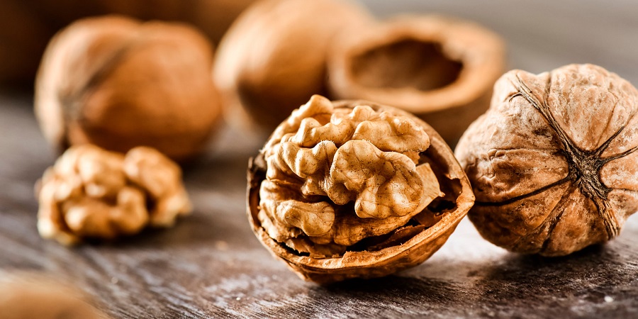 با خواص و فواید بی نظیر &laquo;گردو&raquo; آشنا شوید
