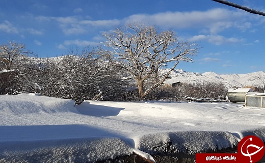 پیرهن سفید زمستان بر تن روستای خاوه+عکس