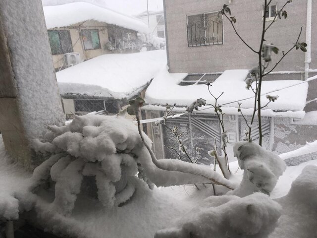 تونل سرما در دل استان گیلان