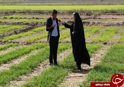 رونق میلیاردی محصولات کشاورزی خوزستان/موفقیت صادرات در گرو ورود بخش خصوصی