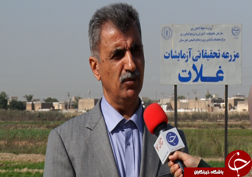 رونق میلیاردی محصولات کشاورزی خوزستان/موفقیت صادرات در گرو ورود بخش خصوصی