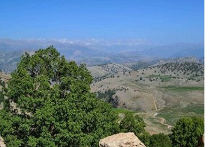 ۴۴۷ هکتار زمین‌های ملی سمنان برای اجرای طرح‌های اقتصادی اختصاص یافت
