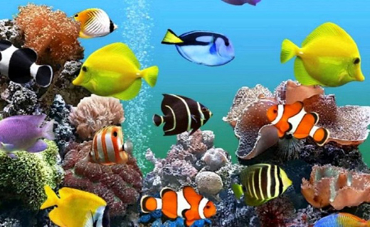 خانه شیشه&zwnj;ای آبی رنگ اقیانوسی کوچک برای تن پوشان پولکی